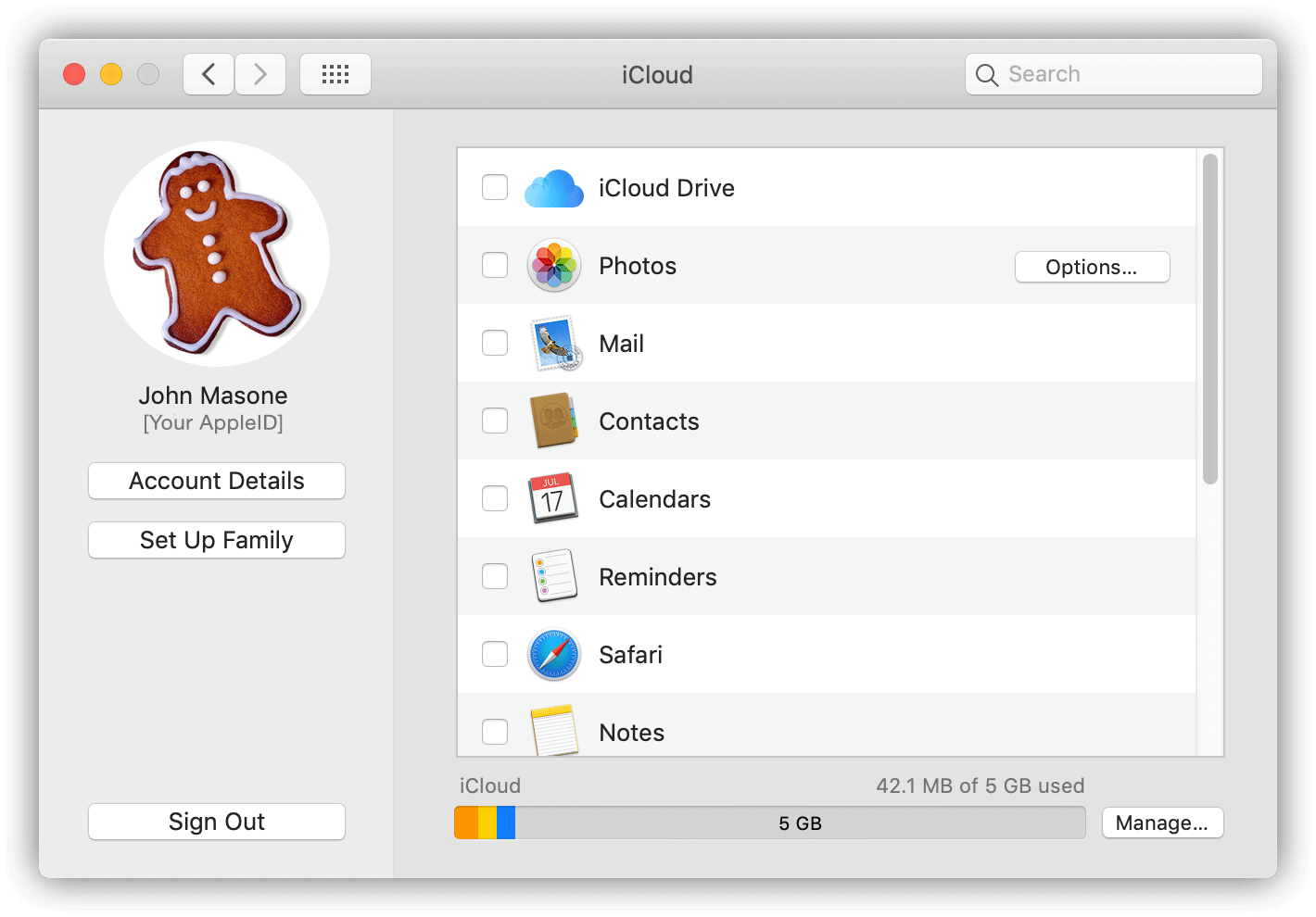 iCloud Preferences